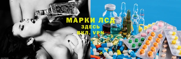 гидропоника Алексеевка