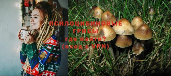 эйфоретик Алзамай
