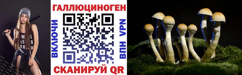 купить наркоту  KRAKEN рабочий сайт  Псилоцибиновые грибы MAGIC MUSHROOMS  Лермонтов 
